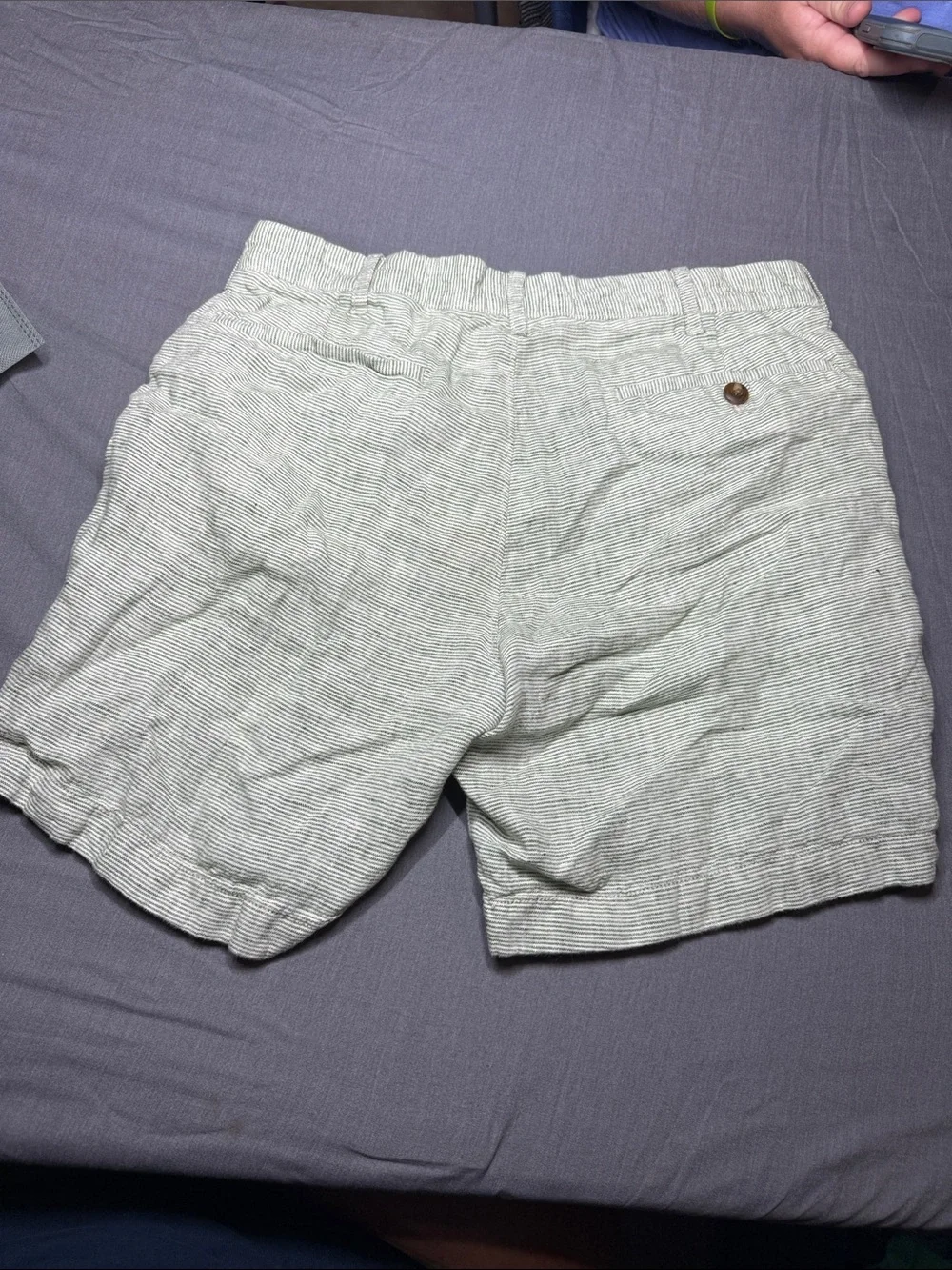J. Crew Pale Green Striped Men’s Flat-Front Shorts